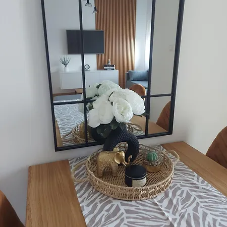 Nina Apartman *